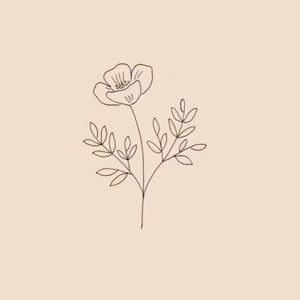 Meet your Posher, Isabella